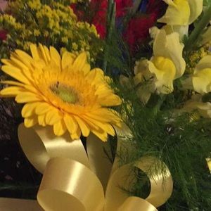 Meet your Posher, Jenny