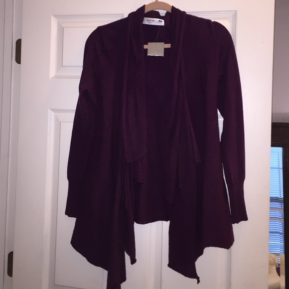 Burgundy Anthropology Sparrow Sweater