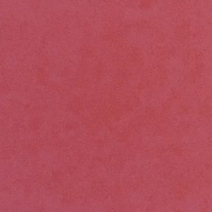 Meet your Posher, Brandi