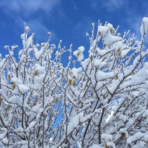 🍾🍾Winter Gear for Sale!! 🍾🍾