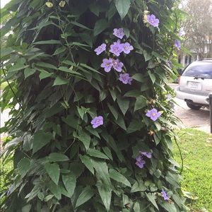 Meet your Posher, Betsy