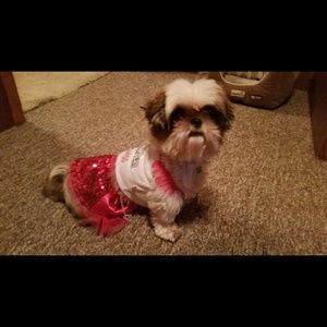 Meet your Posher, Whitney