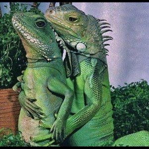 Meet your Posher, Taryn