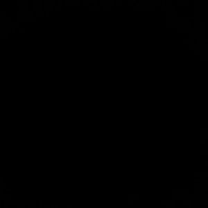 Meet your Posher, Davida