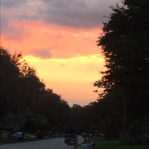 Meet your Posher, Abigail