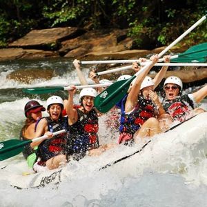 Meet your Posher, Darla