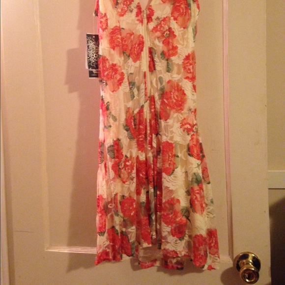 🌺NWT Beautiful Lace Coral Flowered Dress🌺 - Picture 2 of 3