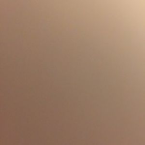 Meet your Posher, Paula