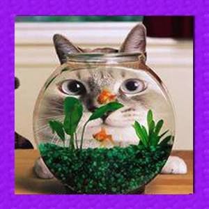 Meet your Posher, Janice