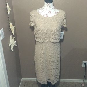 NWT Beige lace dress from Dillard's
