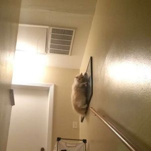 Meet your Posher, Cady