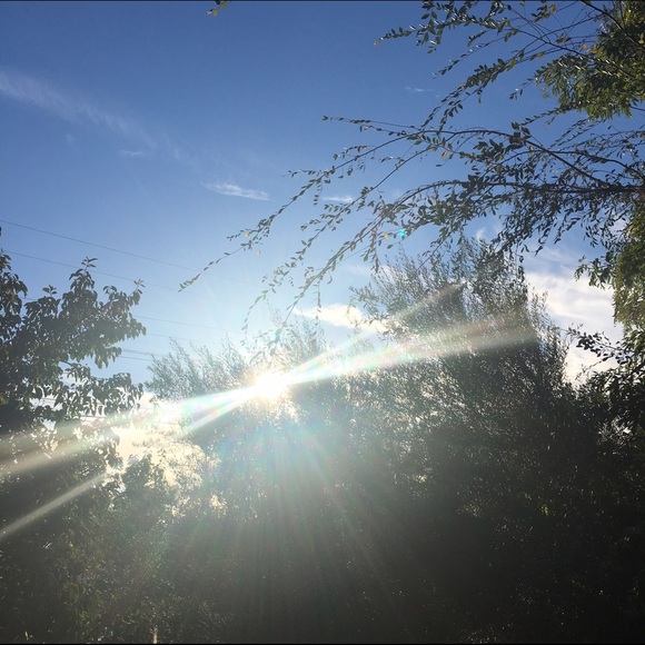 Meet your Posher, Mila