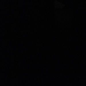 Meet your Posher, Tamia