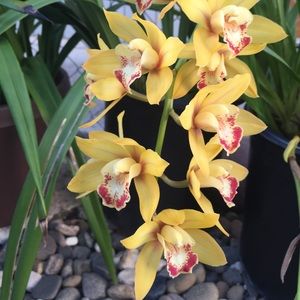 Meet your Posher, Maryahnn