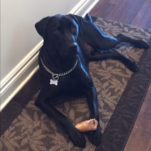 Meet your Posher, Cinthya