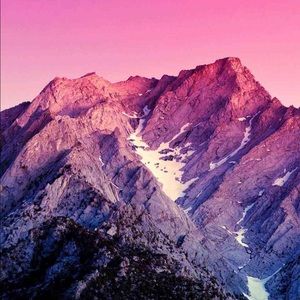 Meet your Posher, Gaston