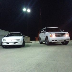 Meet your Posher, Codie