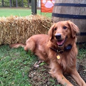 Meet your Posher, Marci