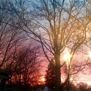 Meet your Posher, Heidi