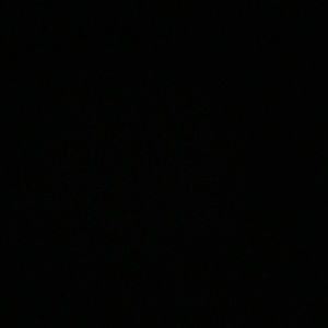 Meet your Posher, Paulina