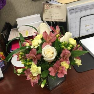 Meet your Posher, Chrissy