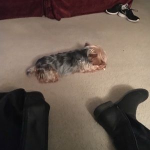 Meet your Posher, Donna