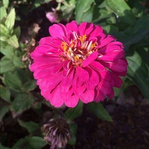 Meet your Posher, Abby