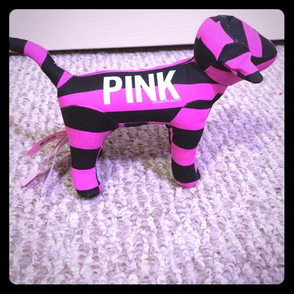 VS Pink Dog