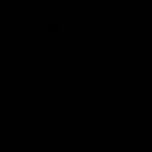 Meet your Posher, Teea