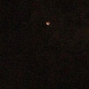 Meet your Posher, Juliana