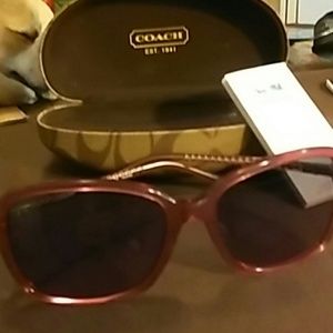 Coach sun glasses