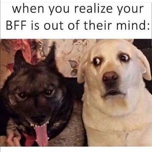 Meet your Posher, Kay