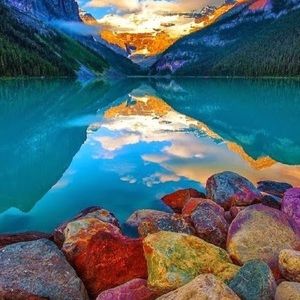 Meet your Posher, Daphne