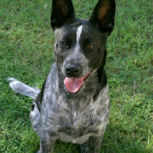 πΎβπTOP10% SELLER TOP RATED SELLERππ - Picture 3 of 4