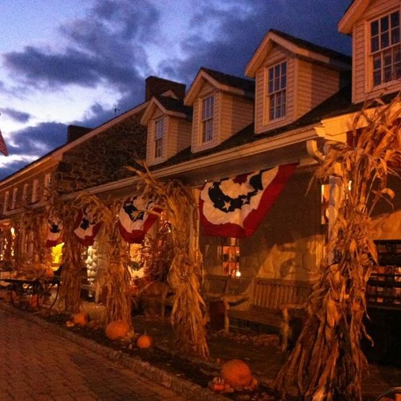 Meet your Posher, Laura - Picture 1 of 1