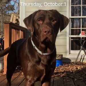 Meet your Posher, Taylor