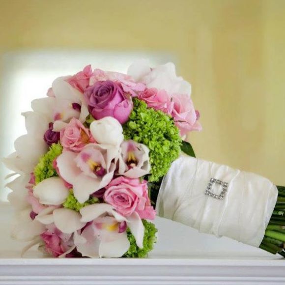 Meet your Posher, Leah - Picture 1 of 1