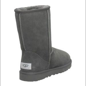 Grey brand new uggs