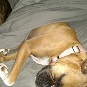 Meet your Posher, Cori