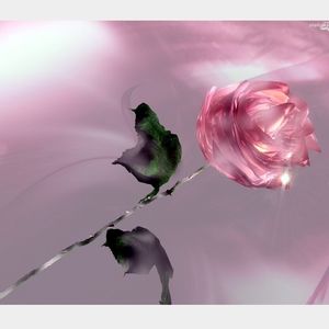 Meet your Posher, Shawn