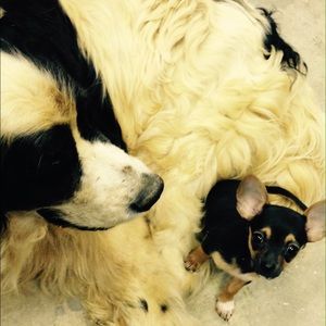 Meet your Posher, Michelle