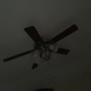 Meet your Posher, Janna