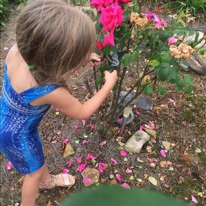 Meet your Posher, Gail