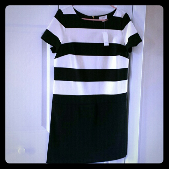 SOLD.* Loft black and white dress