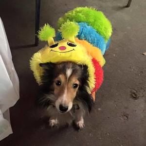 Meet your Posher, Anna