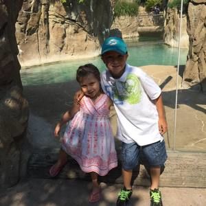 Meet your Posher, Crystal