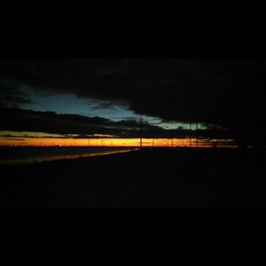 Meet your Posher, Josephine