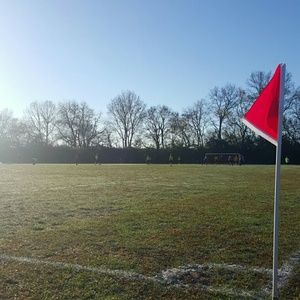 Meet your Posher, Sheree