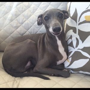 Meet your Posher, Stacey