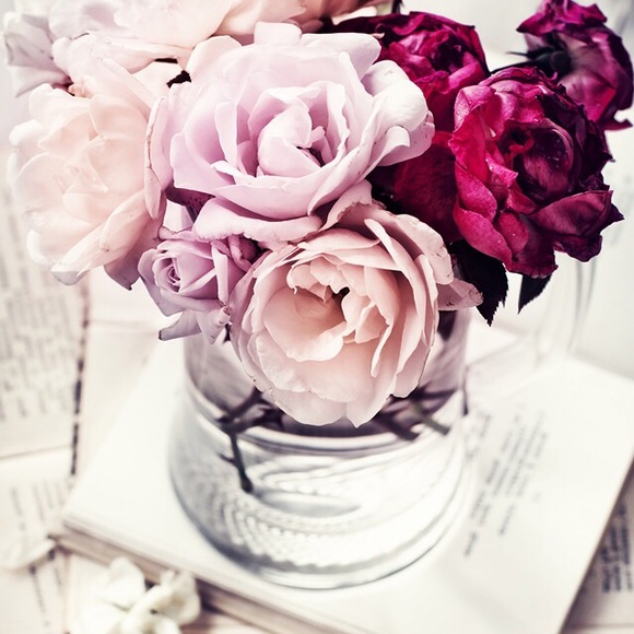 Meet your Posher, Amina